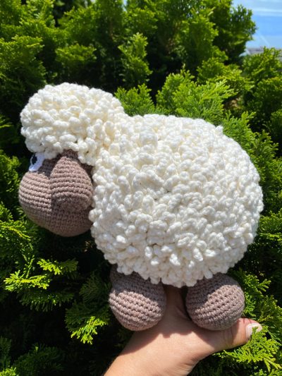 Sheep - Image 2