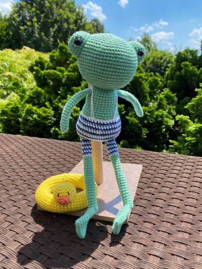 Swimmer Frog - Image 3