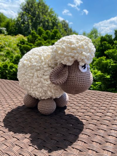 Sheep - Image 4