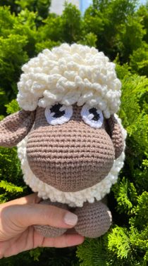 Sheep