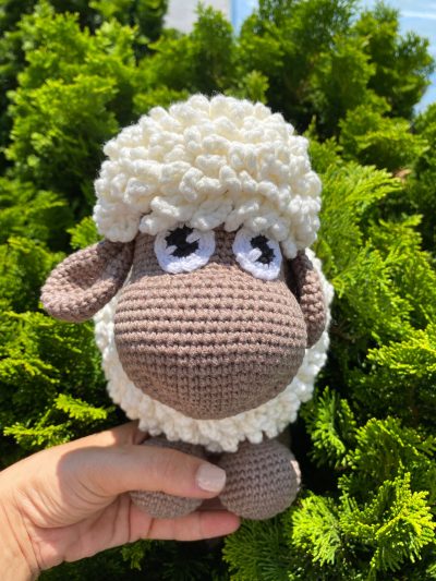 Sheep